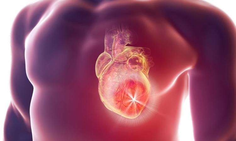 UNAH realizará Jornada de Avances en Cardiología