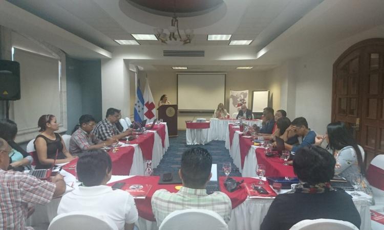 FLACSO-Honduras y la Cruz Roja de Honduras desarrollaron curso-taller de redacción de informes técnicos.