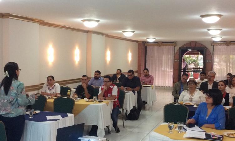 Reunión Trimestral de la Mesa de Consulta del Observatorio de Migraciones Internacionales en Honduras (OMIH).