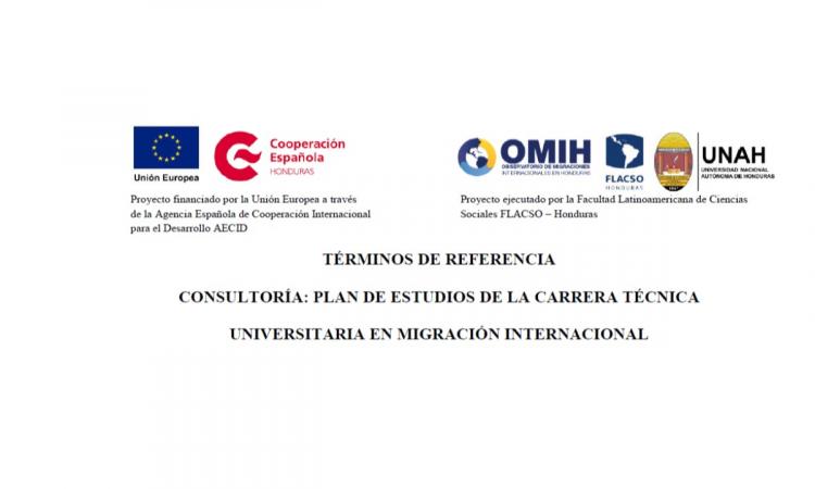 Consultoría: plan de estudios de la Carrera Técnica Universitaria en Migración Internacional.