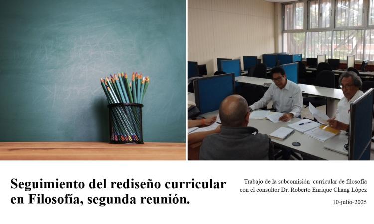 Seguimiento del Rediseño Curricular en Filosofía.