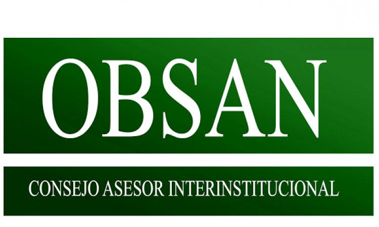 Conformación del Consejo Asesor Interinstitucional OBSAN