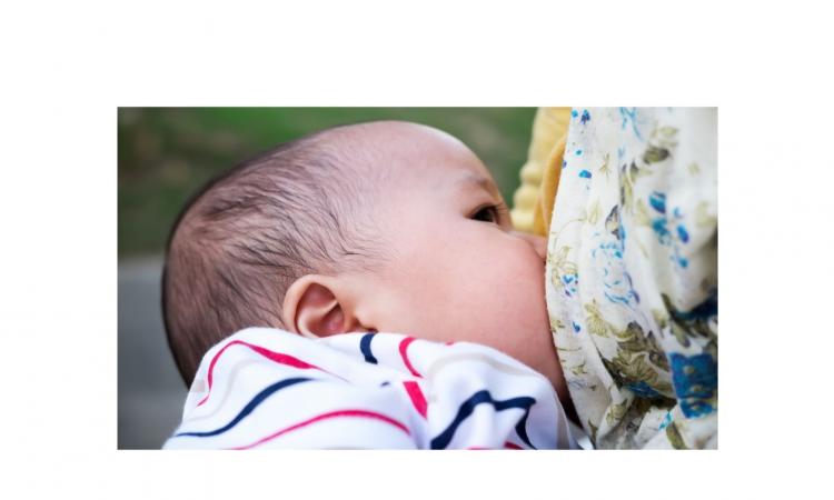 Lactancia Materna & Seguridad Alimentaria y Nutricional 