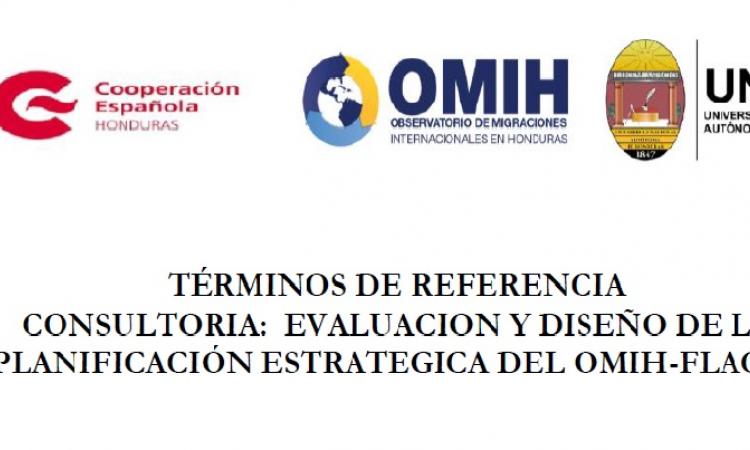 Consultoría: Evaluación y diseño de la planificación estratégica del OMIH-FLACSO