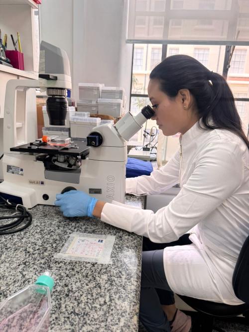 OBSERVACION DE PARASITOS