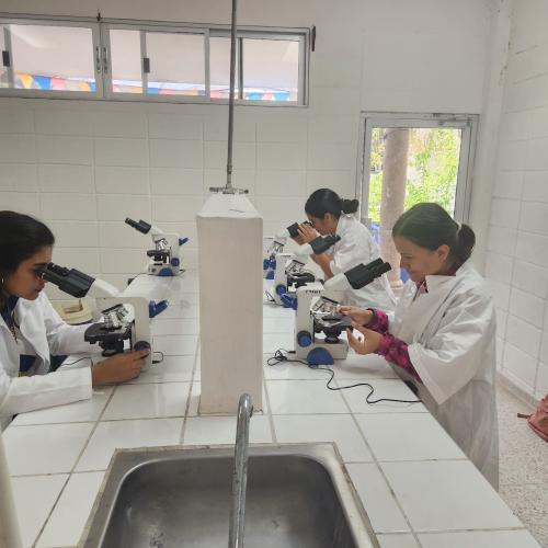 485770466 1039770941517851 7519753628200184804 n ghjg