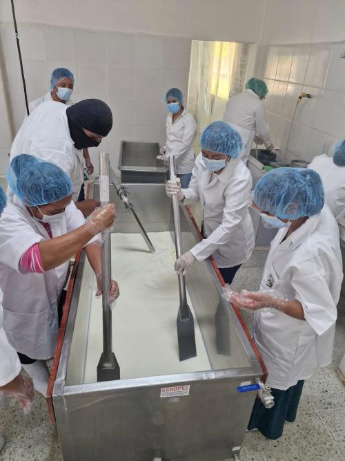 490023061 1055269699967975 2778549411793356479 n