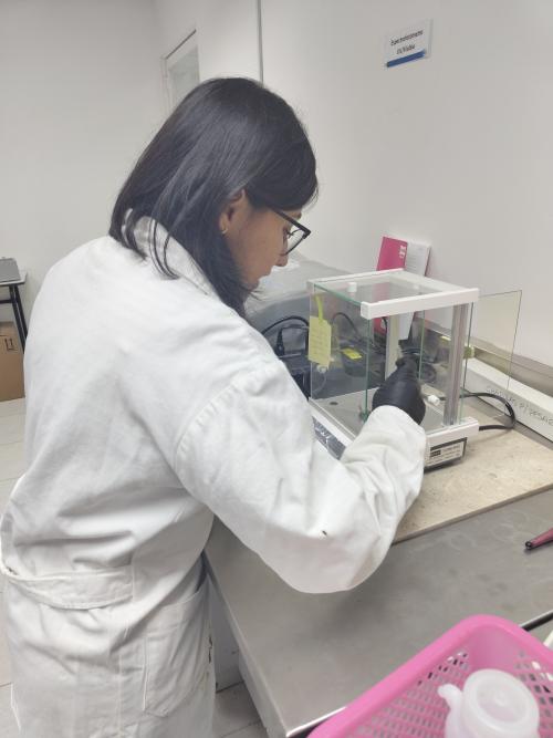 IMG 20250602 113743960