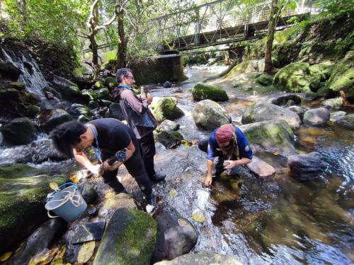 WhatsApp Image 2025 11 26 at 10.01.51 AM