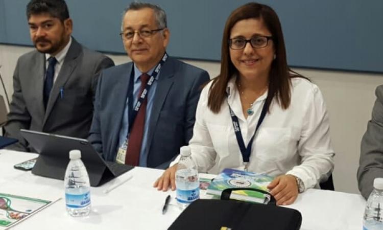 DSEP-UNAH en la 50 reunión del Sistema Regional Centroamericano y del Caribe de Investigación y Postgrado (SIRCIP)