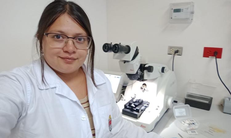 Olga Pineda, estudiante de la Maestría en Botánica, profundiza en el estudio del potencial para su uso en lutheria de la madera Simarouba glauca