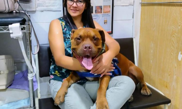 Catedrática de Sociología sueña con la reconstrucción de un refugio para animales en la UNAH