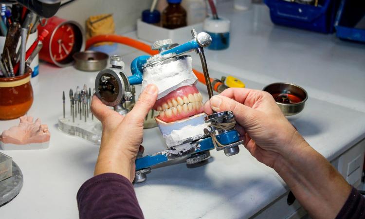 Técnico Universitario en Prótesis Bucal se ofertará en Ciudad Universitaria y Campus Cortés 