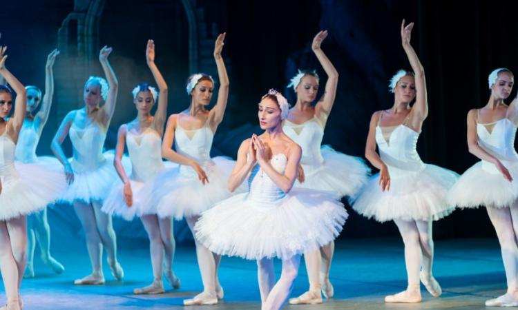 Conoce los detalles de la nueva Carrera de Danza