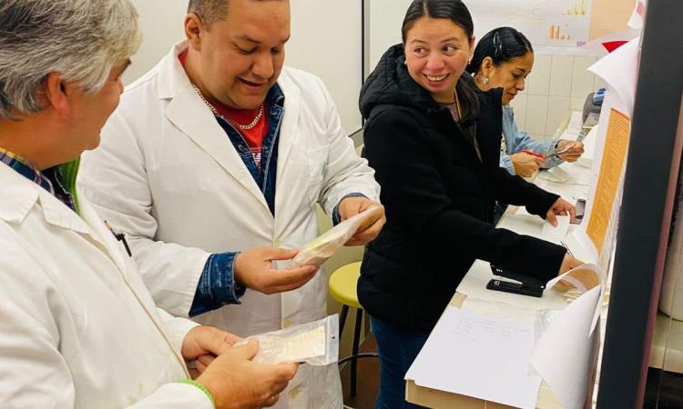 Docentes de UNAH Campus El Paraíso realizan estancia académica en la Universidad de Sevilla