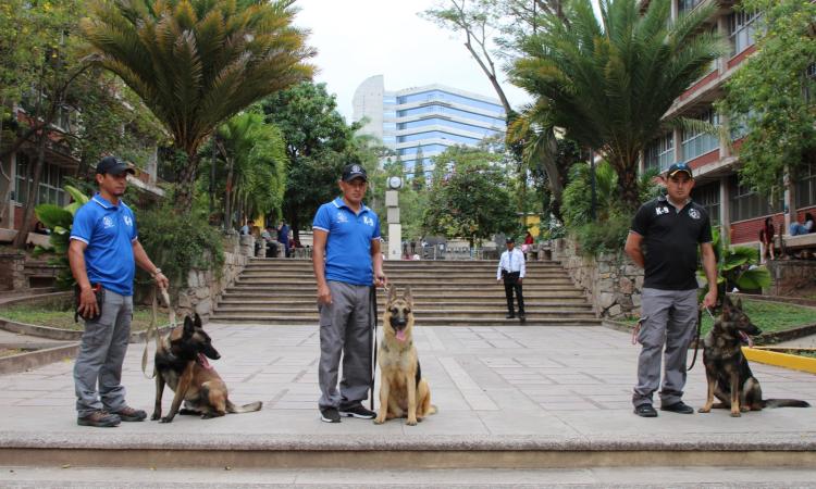 Unidad canina recorre Ciudad Universitaria para garantizar la seguridad en la UNAH