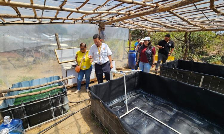 UNAH Campus Choluteca desarrolla proyecto con microalga para combatir la desnutrición 