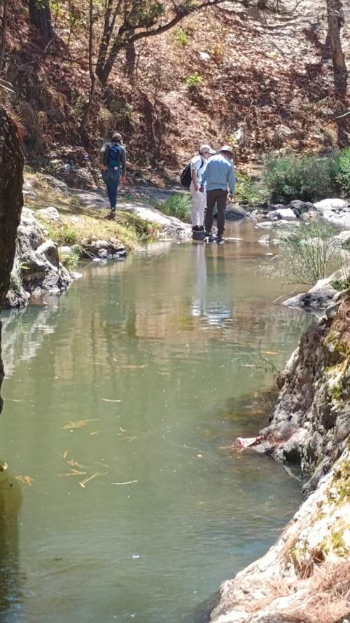 WhatsApp Image 2025 04 04 at 11.33.46 AM 1