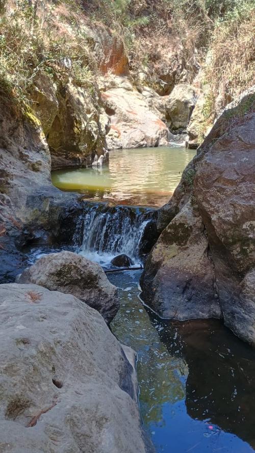 WhatsApp Image 2025 04 04 at 11.33.47 AM 1