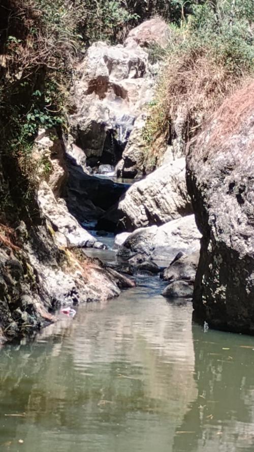 WhatsApp Image 2025 04 04 at 11.33.47 AM