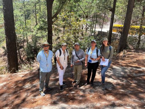 WhatsApp Image 2025 04 04 at 12.33.18 AM