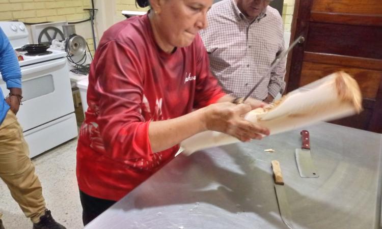Estudiantes de UNAH Campus Atlántida realizan experimento alimenticio de aprovechamiento del palmito de corozo