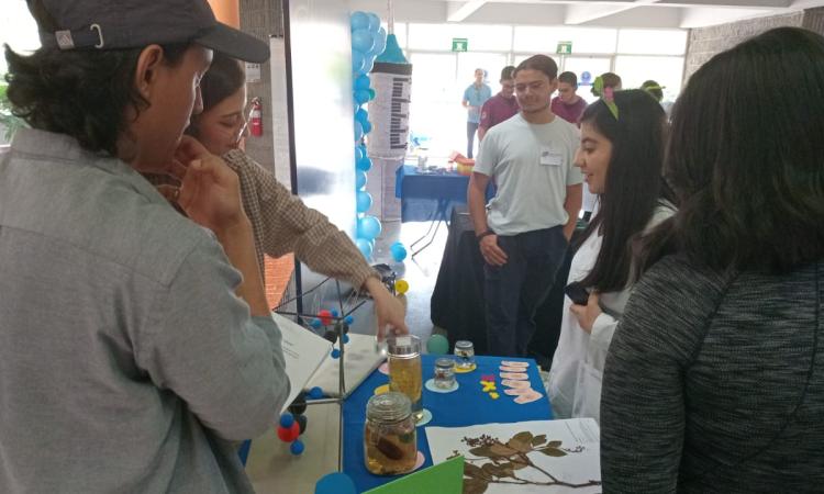 Estudiantes conectan la química orgánica con su futuro profesional a través de innovadores proyectos