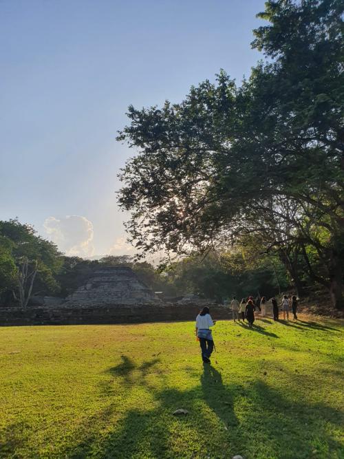 04708ca0 20bd 49ba 95ad 973a0376dd32