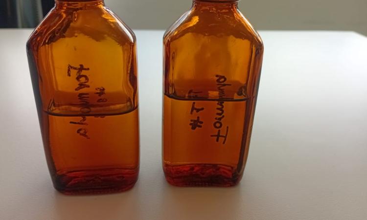 Investigadores de la UNAH desarrollaron Sildenafil (viagra) en jarabe para niños con hipertensión pulmonar