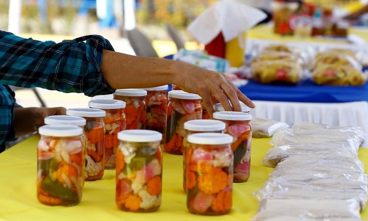 Emprendedores hondureños desconocen últimos incentivos y beneficios fiscales, según estudio 