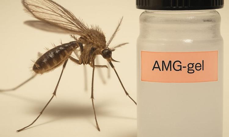 Investigadora de la UNAH desarrolla gel como tratamiento no invasivo para combatir la Leishmaniasis 