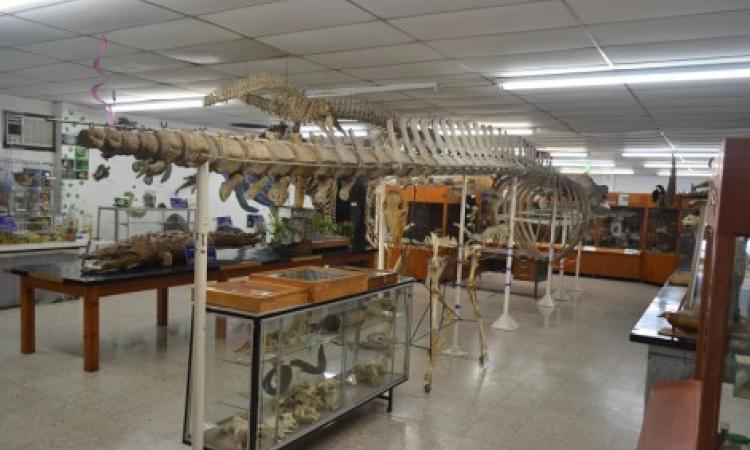 Escuela de verano UNAH 2025: una experiencia integral para niños y jóvenes de 12 a 17 años