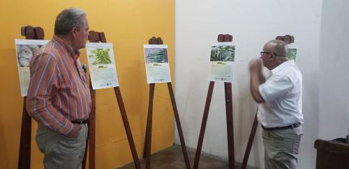 c6b25055 3f55 4409 9f92 bd3f38adbd4d