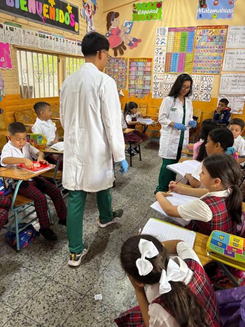 508888817 1218131690107572 7309844179204427006 n3