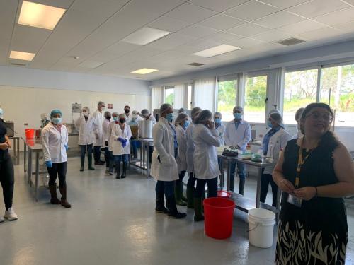 WhatsApp Image 2025 07 03 at 7.39.03 PM 1