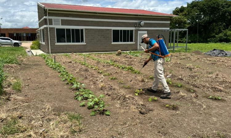 Estudiantes de Campus El Paraíso investigan sobre bioinsumos para obtener productos más limpios