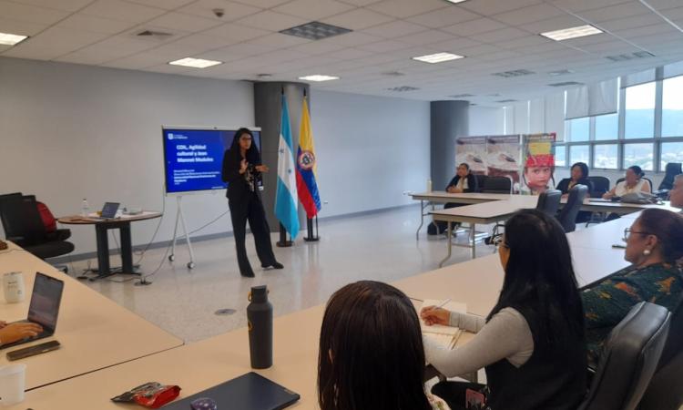 Brindan taller de aprendizaje colaborativo en línea COIL