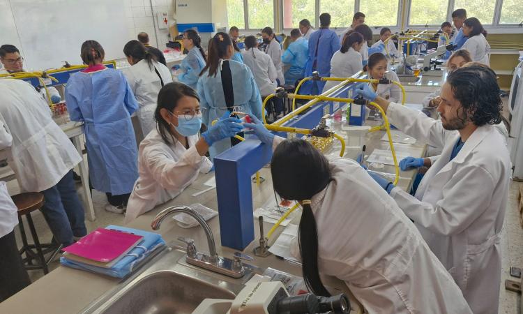 Investigadora francesa imparte taller sobre enfermedad emergente en Europa