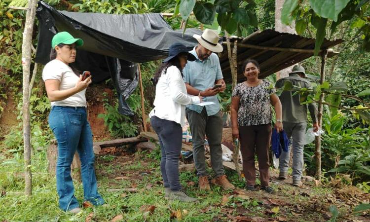 UNAH impulsa el futuro del cardamomo en Honduras con investigación pionera en Quimistán