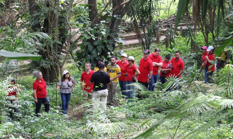 UNAH y Embajada de Canadá rinden homenaje a Terry Fox con caminata en el Jardín Botánico