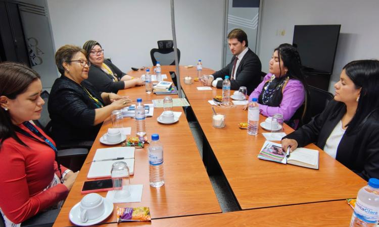 Coordinadora del Observatorio de la Violencia UNAH sostiene reunión con diplomáticos chilenos