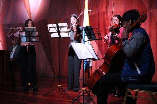 IV Proyecto FUESE 2025 3