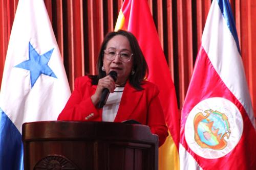 IV Proyecto FUESE 2025