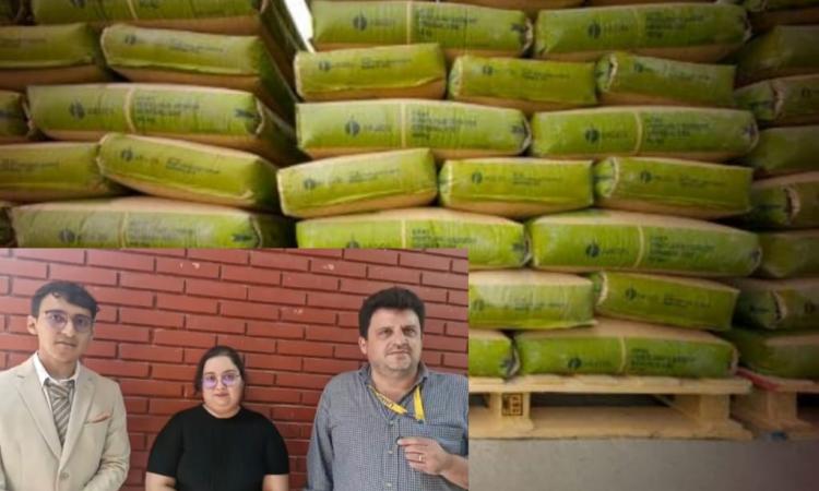 Investigadores de la UNAH: cáscaras de aguacate disminuyen elemento cancerígeno presente en el cemento 