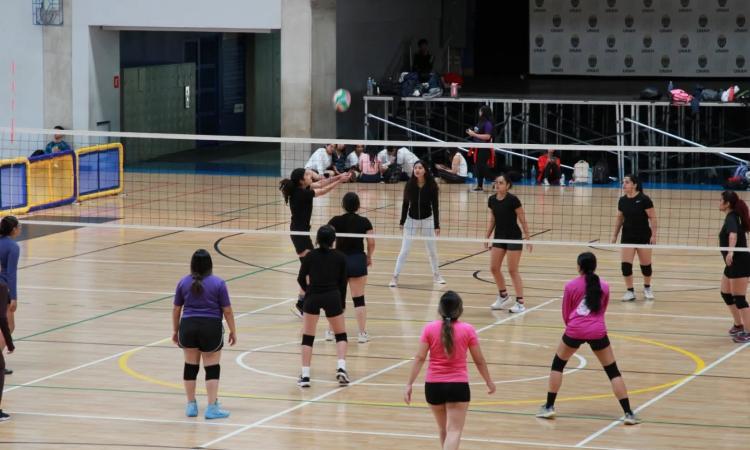 Carrera de Mercadotecnia otorga horas del Artículo 140 con actividades que promueven estilos de vida saludables