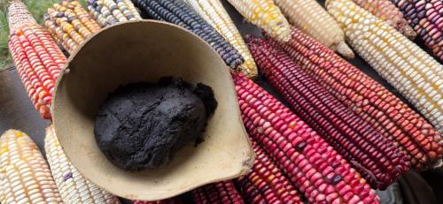 WhatsApp Image 2025 11 18 at 15.11.57