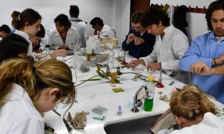 Escuela de Biología incrementa publicaciones científicas Q1