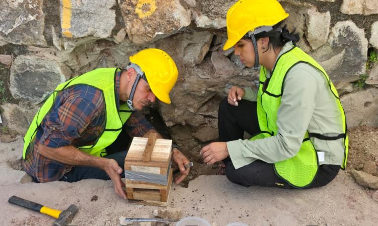 UNAH crea meliponario a raíz del hallazgo de nidos de abejas en la construcción del edificio Lucem  Aspicio