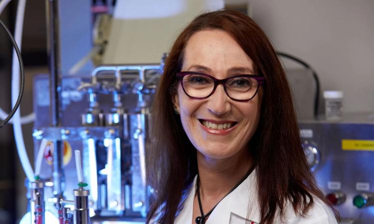 Consejo Universitario aprueba Calendario Académico, Año Académico, ofertas académicas y convenios