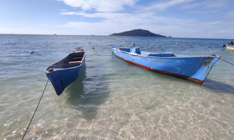 Estudio pionero de la UNAH  identifica arsénico y plomo en playas de Cayos Cochinos